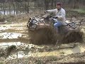 brute force 750 grizzly 660 kitty cat 700