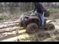 brute force 750 grizzly 660 kitty cat 700
