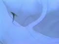VIDEOPINTURAS_ Contraste en suspención - VIDEOPINTURAS_ Contraste en suspención -