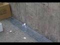 CALLEJERIA 1 mono bailarin por OHO GARABACIONES