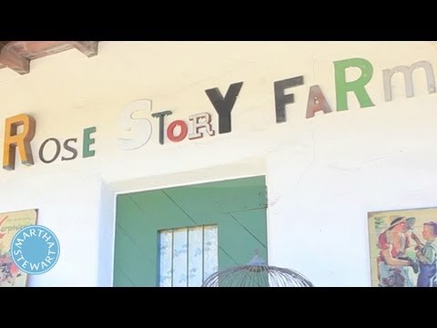 A Tour of Rose Story Farm