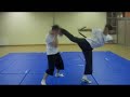 FDM FIGHT VOL 1 FDM FIGHT VOL 1