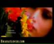  - MovieZen Video