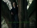 until the day I die - Draco Hermione