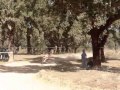 21ªBaja Portalegre 21ªBaja Portalegre