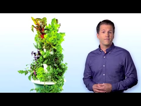 What is Tower Garden® Vertical Aeroponic Growing System?
