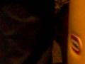 videos de MIDNIGHT MUNCHIES! 1ST EPISODE!