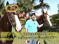 TV Mangalarga - Programa 10 - Bloco 2