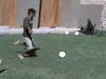 videos de boludeando en el patio 8