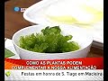 Praça da Alegria - Saúde - \"Plantas Medicinais\" Praça da Alegria - Saúde - \"Plantas Medicinais\"