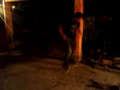 baile 1 del elegido