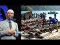 রোহিঙ্গা গনহত্যার প্রতিবাদে ডাঃ জাকির নায়েক যা বললেন, দেখুন বিস্তারিত | Bangla News
