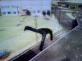 Extreme crashes in Flat out 2