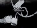 Buster Keaton Simon Pure Beer