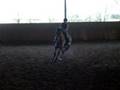 saut d'obstacle au galop