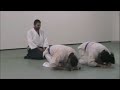 Portney Brown Belt Portney Brown Belt