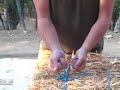 StrawBale.com: Re-Tying Straw Bales Part 2 StrawBale.com: Re-Tying Straw Bales Part 2