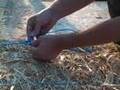 StrawBale.com: Re-Tying Straw Bales Part 2