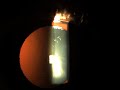 Eye Worm Swimming Onchocerciasis