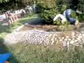 trivi-afk.html