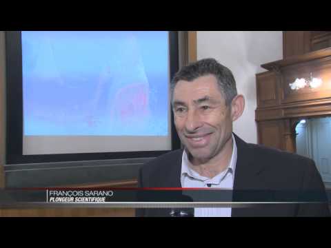 Conférence sur la protection du grand requin blanc