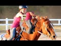 My Horse Jack