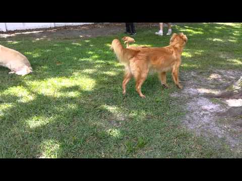 how to decide what to keep