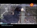 穎陞光碟王-網路企業廣告 640X480