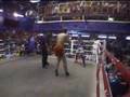Tiger Muay Thai fighter, Robin scores 1st round KO