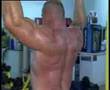 Squat Musculation