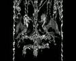Blood Cult - We Who Walk Behind the Rows