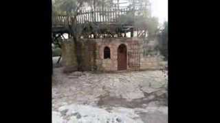 قرية صرعة المهجرة