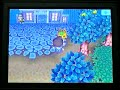 おいでよ どうぶつの森動画
