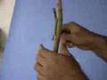 Veneer grafting