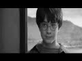 Harry and hermione love