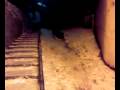 videos de LUGE AVK ELOW && BESTAH