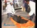 Медведи задрали двух сотрудниц японского зоопарка