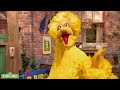 Sesame Street: Happy to Be Me