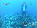 Click here to watch this video 2012年05月14日アポ島ノースウエストポイント.mpg