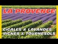 EN PROVENCE LES CIGALES LA LAVANCE ETC !!!!!!!BREF  LES VACANCES AUX SOLEIL