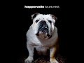 Happoradio – Monta miestä