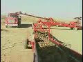 Where Idaho Potatoes Really Come From