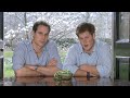 Prince William and Prince Harry’s frog message