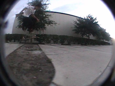 Nice tre