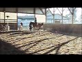 Starlight video 
