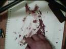 TubeArt: Chocolate Horse