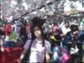 cherry travel