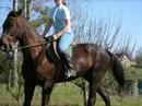 Prince, une rencontre hors du commun. Prince, une rencontre hors du commun.