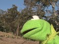 Kermit tells all