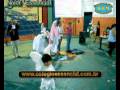 videos de niver essencial004